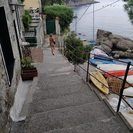Casa 51 Perla Nell'amp Portofino Feriehus